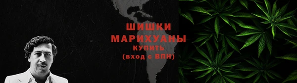 прущие грибы Армянск
