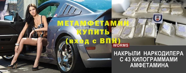 прущие грибы Армянск