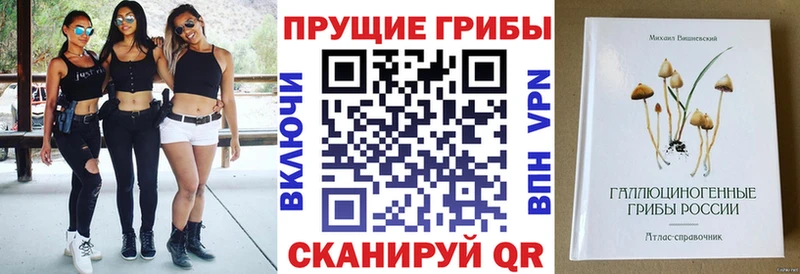 Галлюциногенные грибы прущие грибы  mega как зайти  Мещовск 